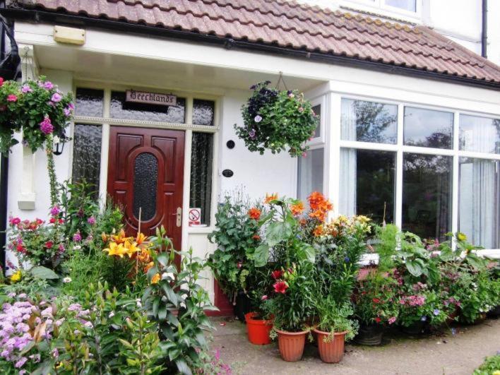 Beechlands B&B Sleights Exterior foto