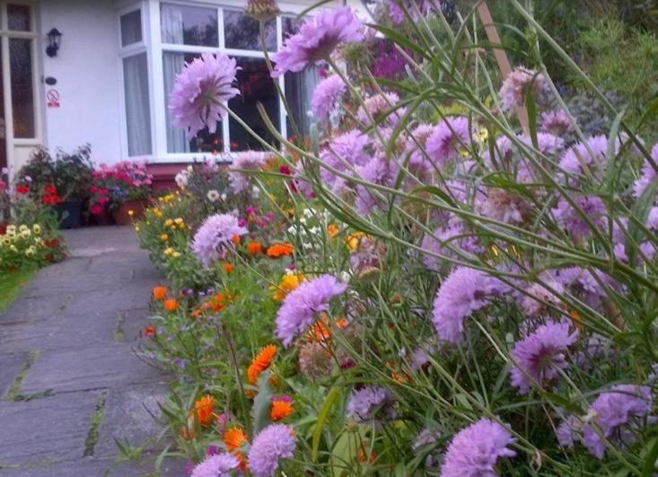 Beechlands B&B Sleights Exterior foto